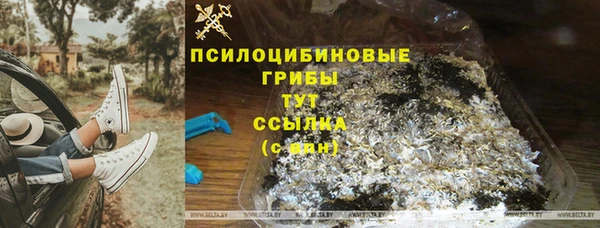 эйфоретик Алзамай