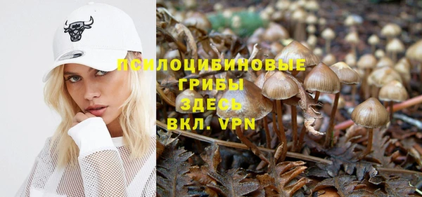 эйфоретик Алзамай
